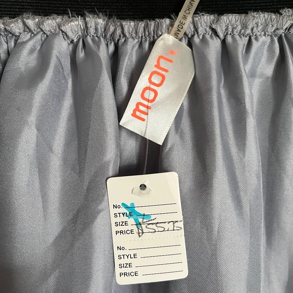 Sheer Silver Gray Fully Lined Skirt w/ Black Stretch Waistband Size Large NWT - Picture 5 of 6